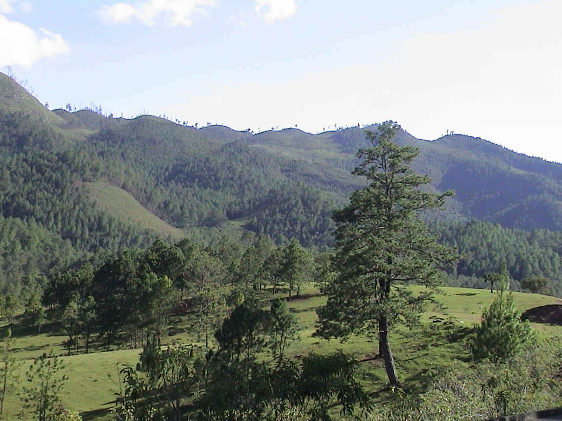Chiapas landscape